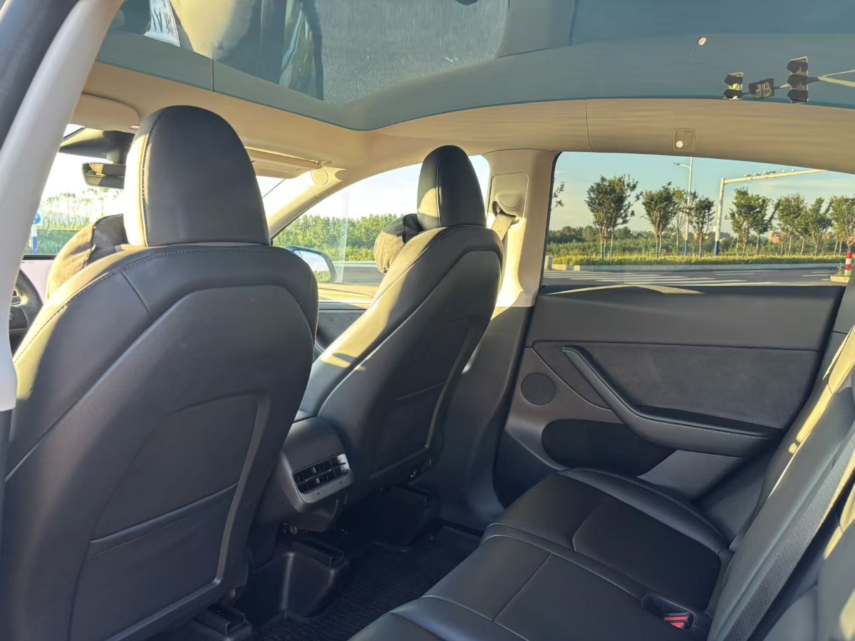 Tesla Model Y 2023 #5 Tesla Model Y 2023 car image #5