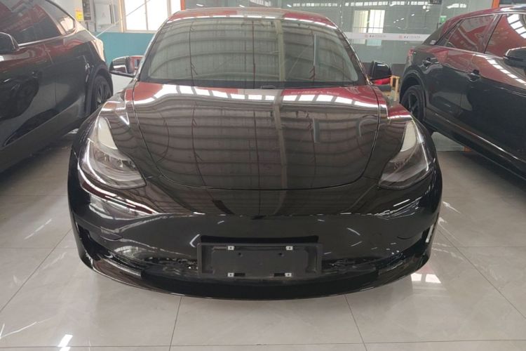 Tesla Model 3 2021 #3 Tesla Model 3 2021 car image #3