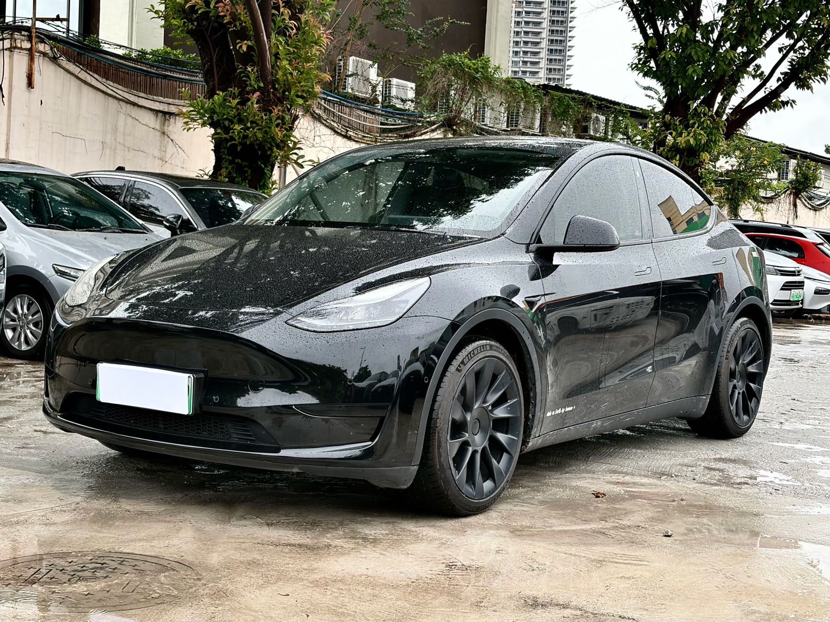 Tesla Model Y 2022 Tesla Model Y 2022 car image