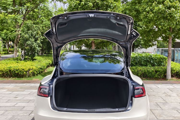 Tesla Model 3 2020 #8 Tesla Model 3 2020 immagine di auto #8