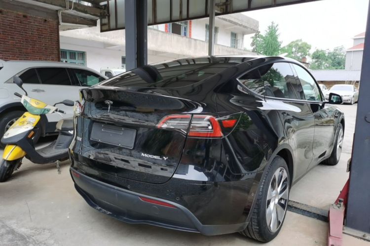 Tesla Model Y 2023 #7 Tesla Model Y 2023 car image #7
