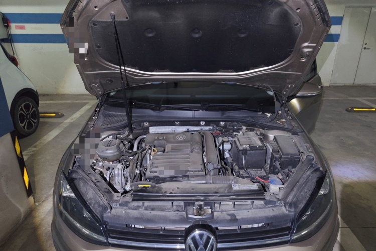 Volkswagen Golf 2018 car image #18