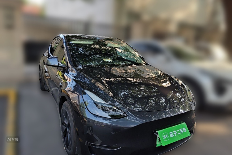 Tesla Model Y 2024 car image #4