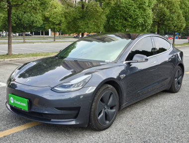 Tesla Model 3 2020 Tesla Model 3 2020 car image