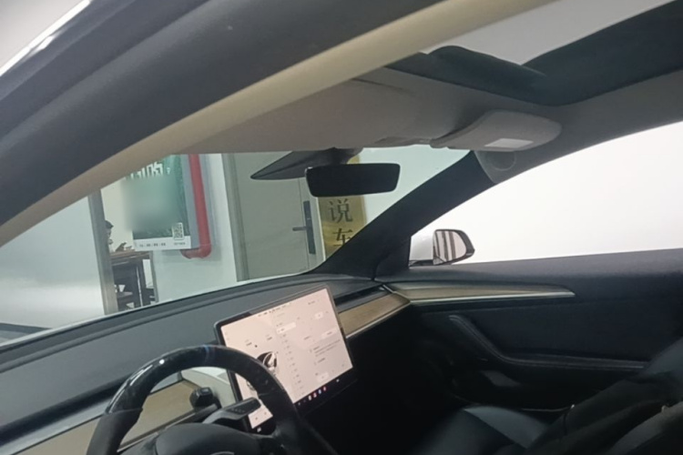 Tesla Model 3 2022 immagine di auto #18
