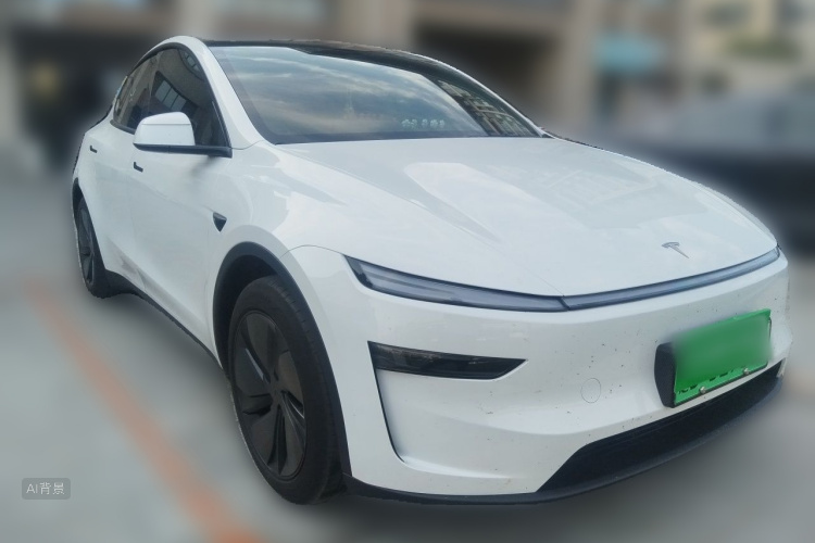 Tesla Model Y 2025 car image #4