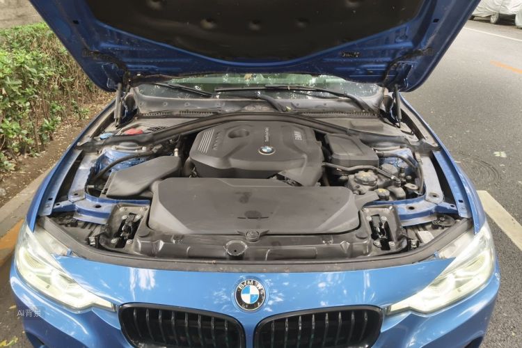 BMW 3 Series 2018 car image #22