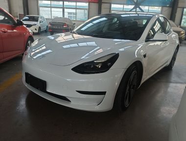 Tesla Model 3 2021 Tesla Model 3 2021 car image