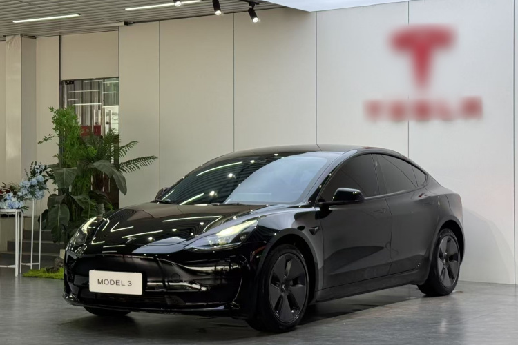 Tesla Model 3 2023 #2 Tesla Model 3 2023 car image #2