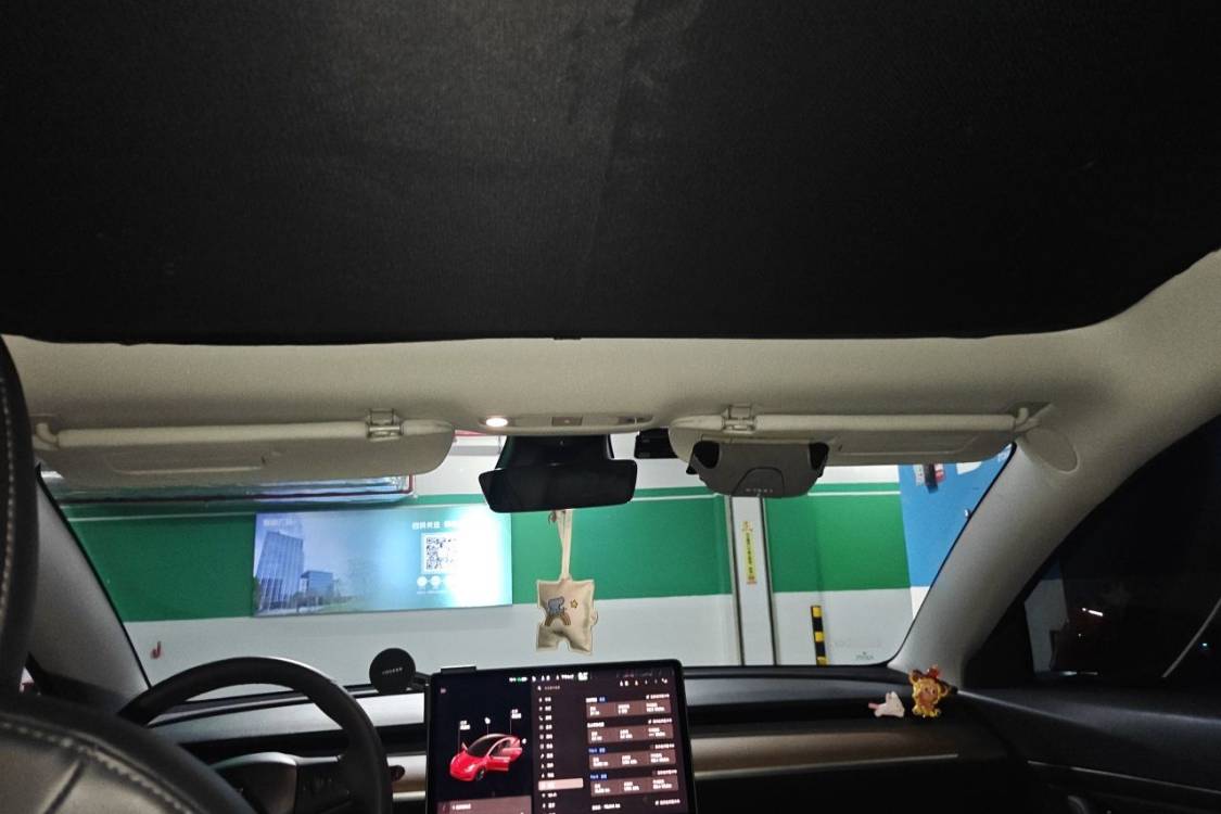 Tesla Model 3 2020 immagine di auto #20