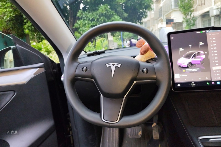 Tesla Model Y 2023 #12 Tesla Model Y 2023 car image #12