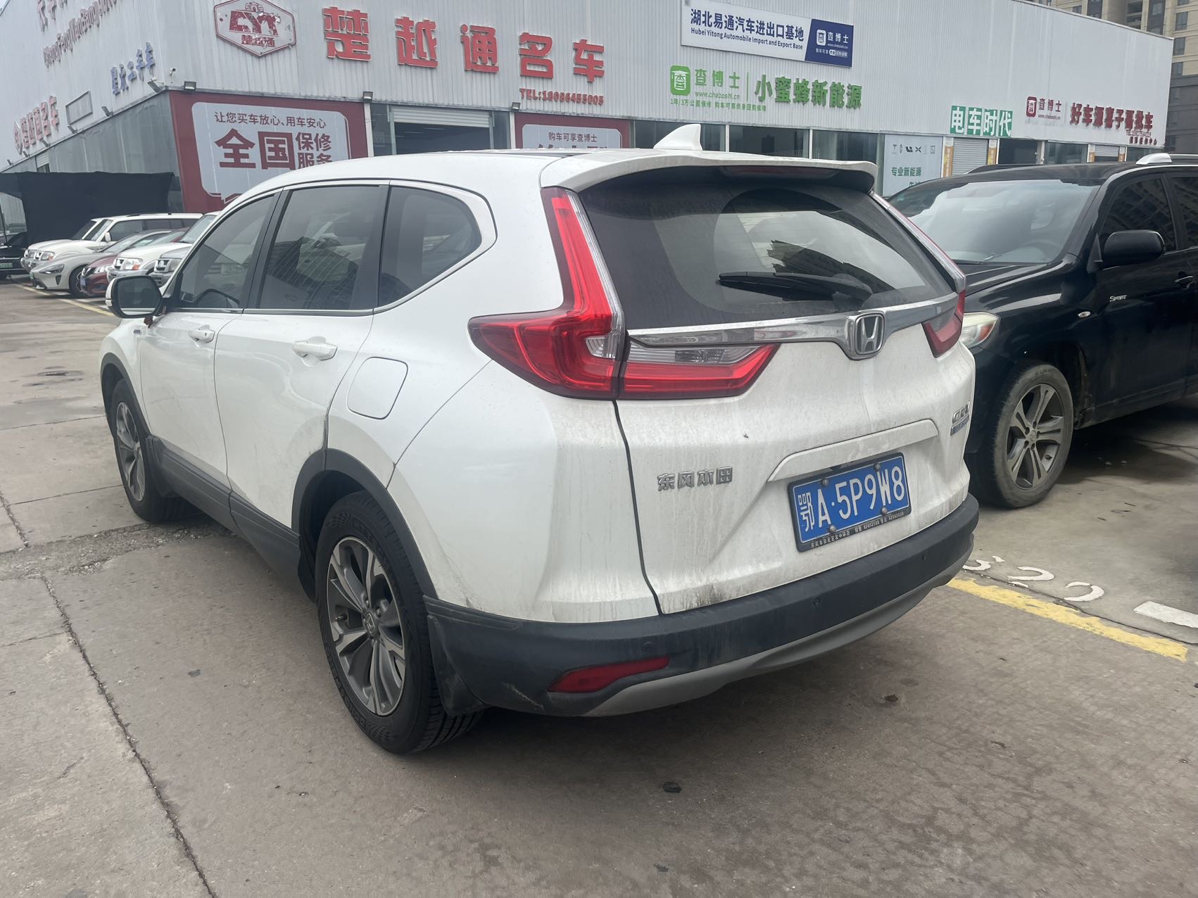 Honda CR-V 2017 #7 Honda CR-V 2017 car image #7