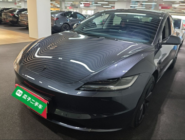 Tesla Model 3 2025 Tesla Model 3 2025 car image
