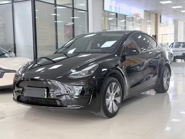 Tesla Model Y 2022 car image #14
