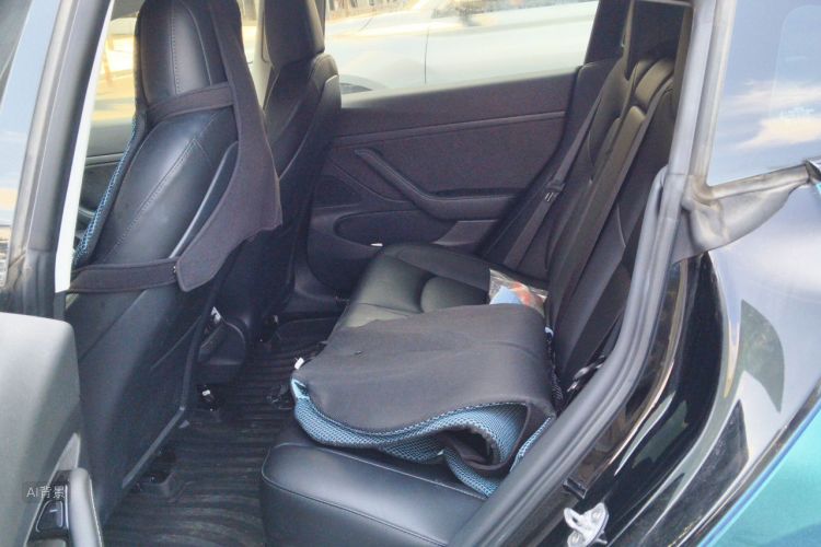 Tesla Model 3 2020 immagine di auto #19