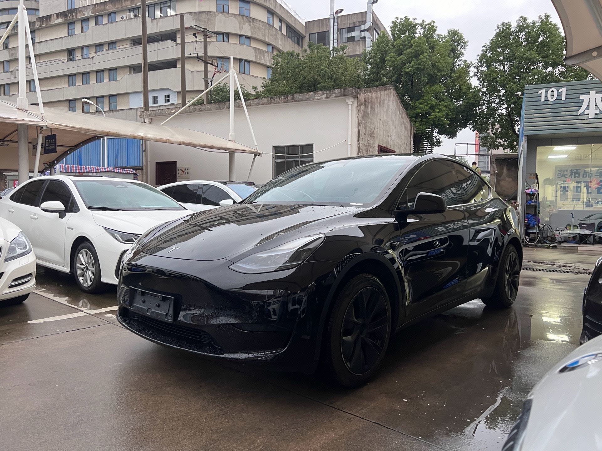 Tesla Model Y 2024 car image 