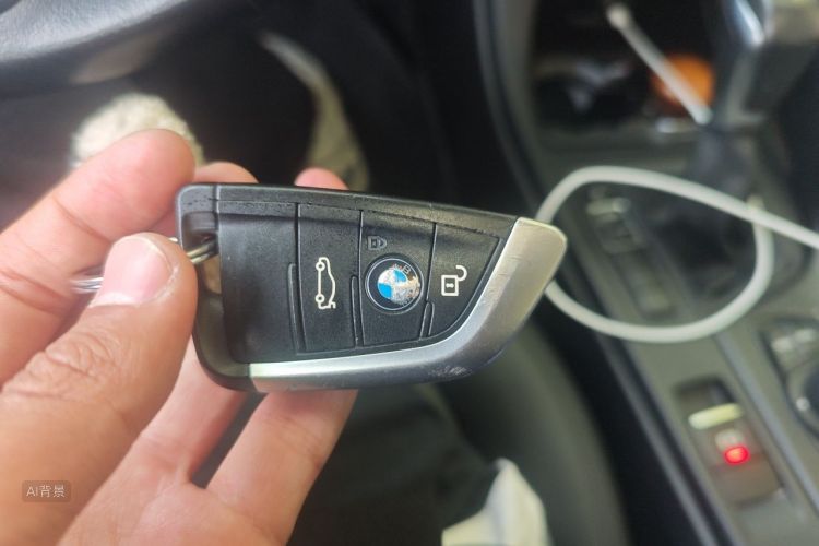 BMW X1 2017 car image #10