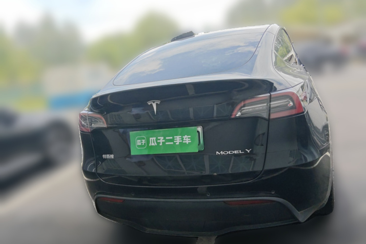 Tesla Model Y 2022 car image #6
