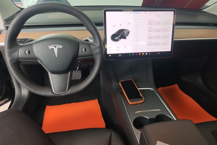 Tesla Model 3 2021 imagem de carro #10