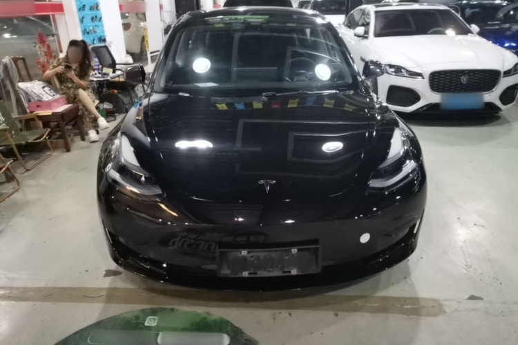 Tesla Model 3 2023 #3 Tesla Model 3 2023 car image #3