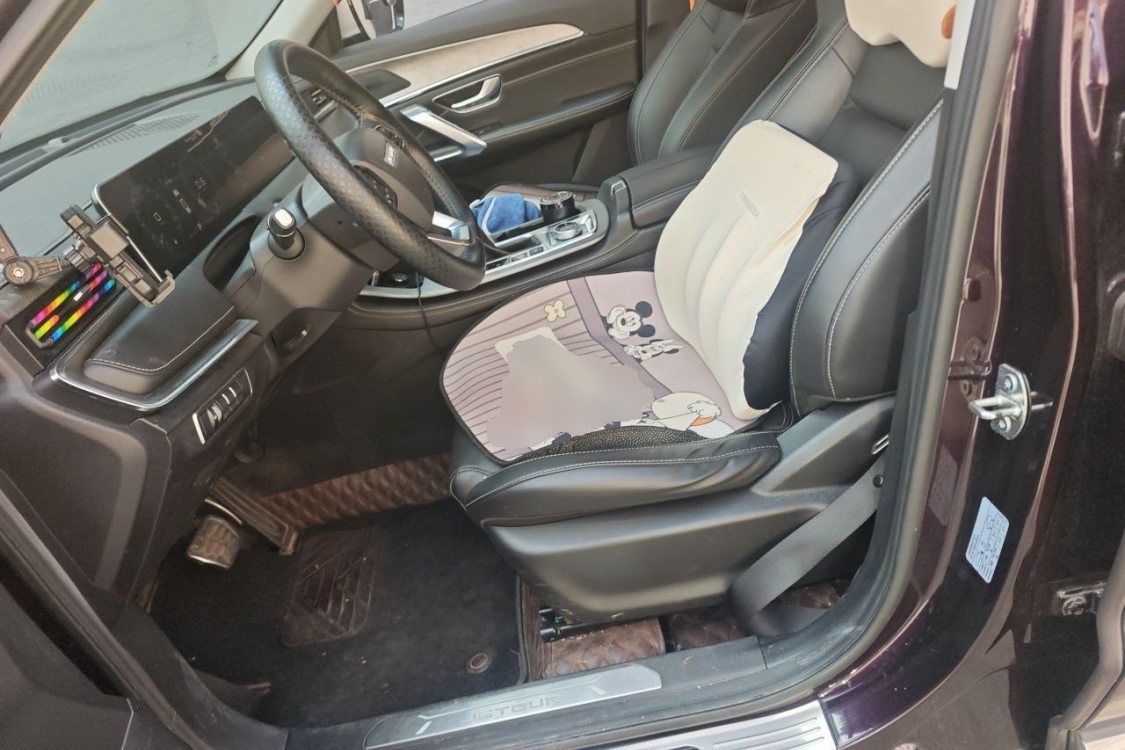 Jetour X70 PLUS 2020 изображение автомобиля #18