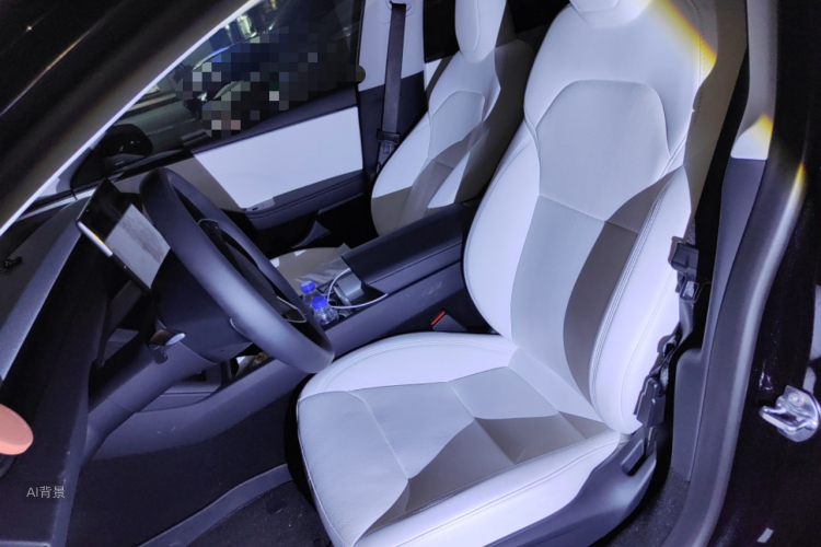 Tesla Model 3 2025 car image #17
