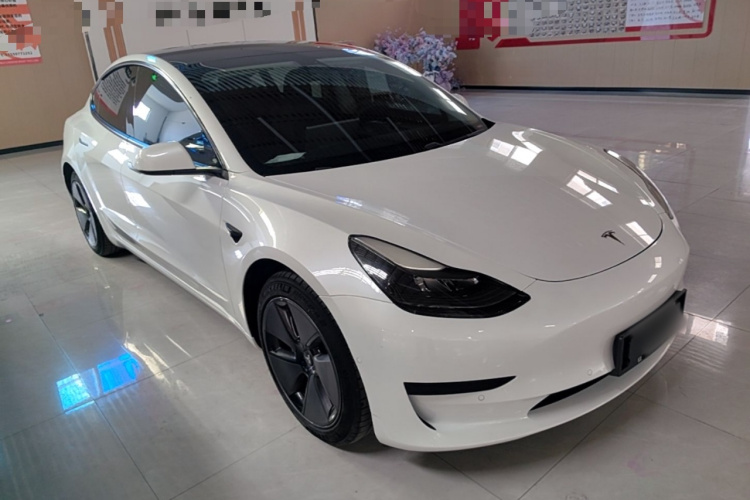 Tesla Model 3 2021 car image #6