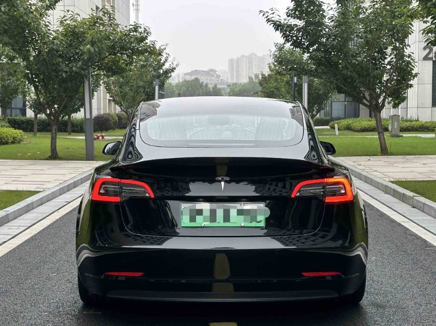 特斯拉 Model 3 2021 汽车图片 #8
