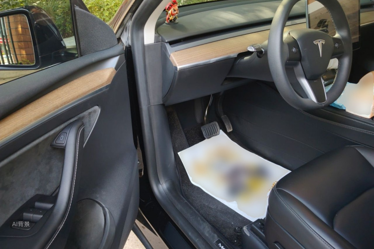Tesla Model Y 2023 car image #18