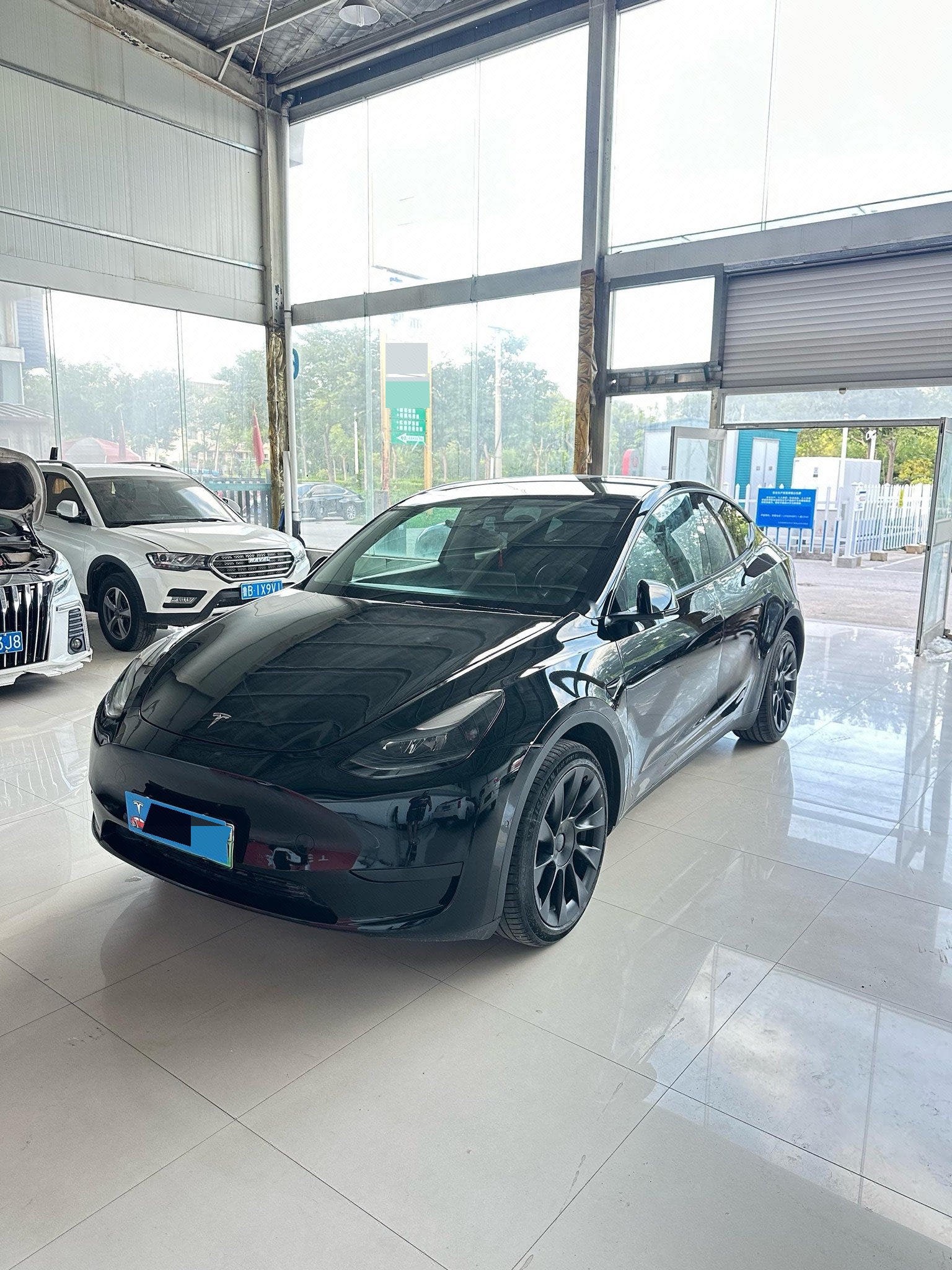 Tesla Model Y 2023 Tesla Model Y 2023 car image