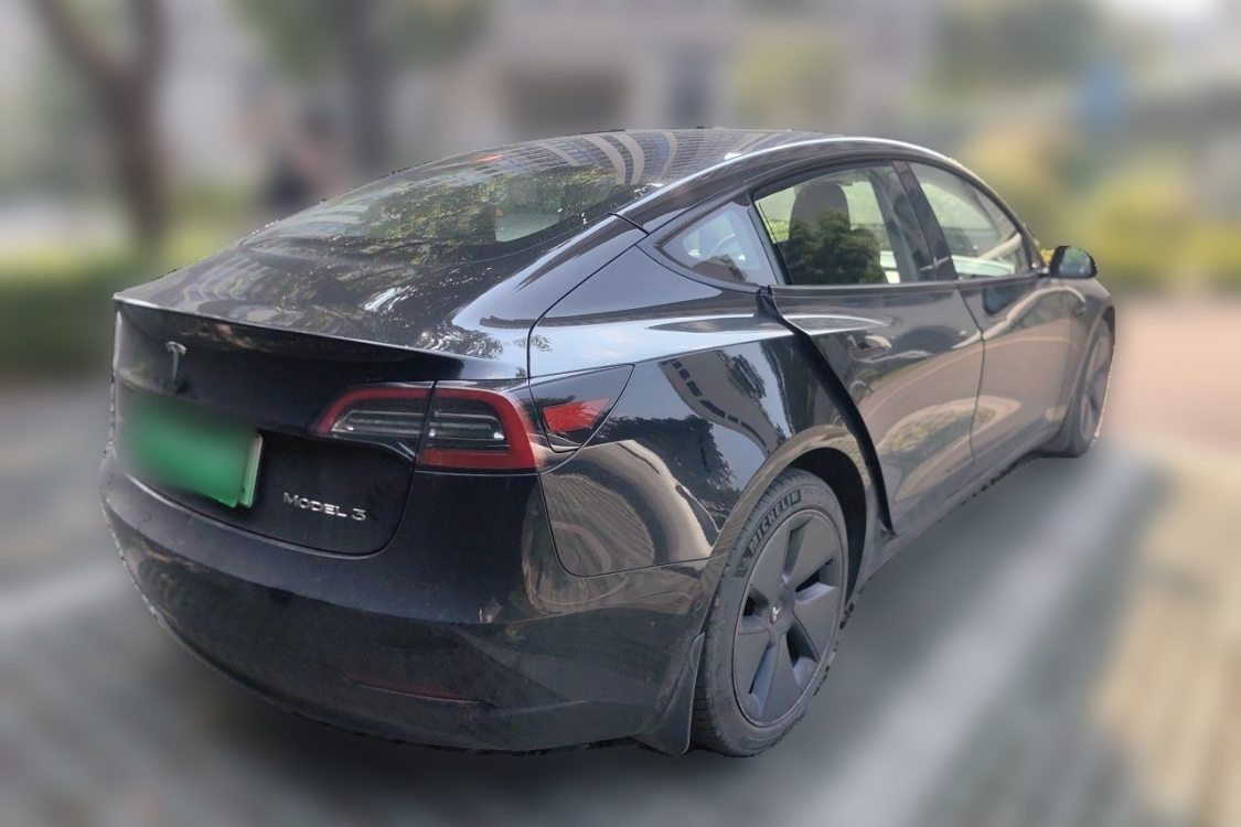 Tesla Model 3 2021 imagem de carro #4
