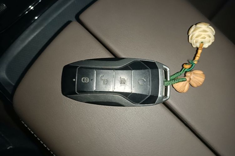 BYD Han 2021 #9 BYD Han 2021 immagine di auto #9