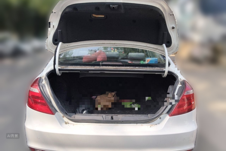 GEELY Emgrand 2017 car image #21