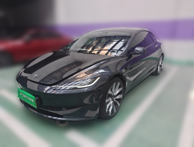 Tesla Model 3 2024 car image 