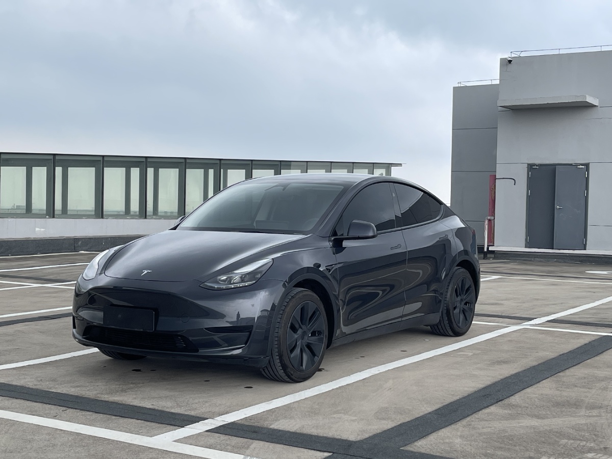 Tesla Model Y 2024 car image 
