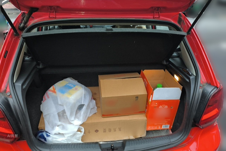 Volkswagen Polo 2016 car image #21