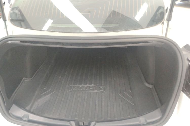 Tesla Model 3 2020 car image #19