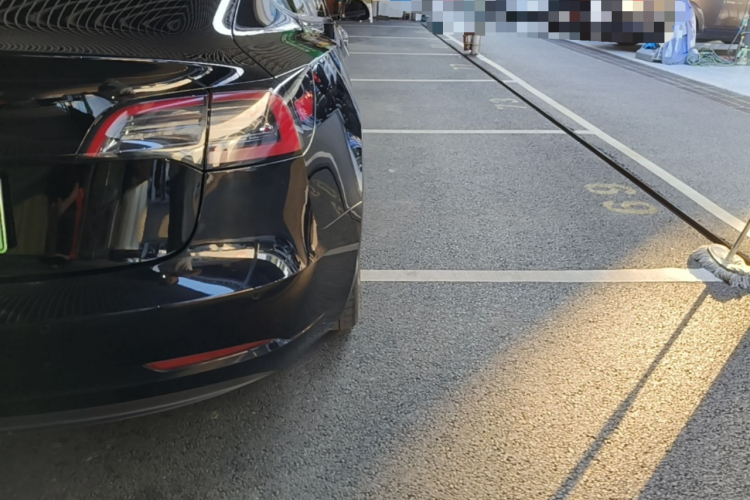 Tesla Model 3 2021 car image #8