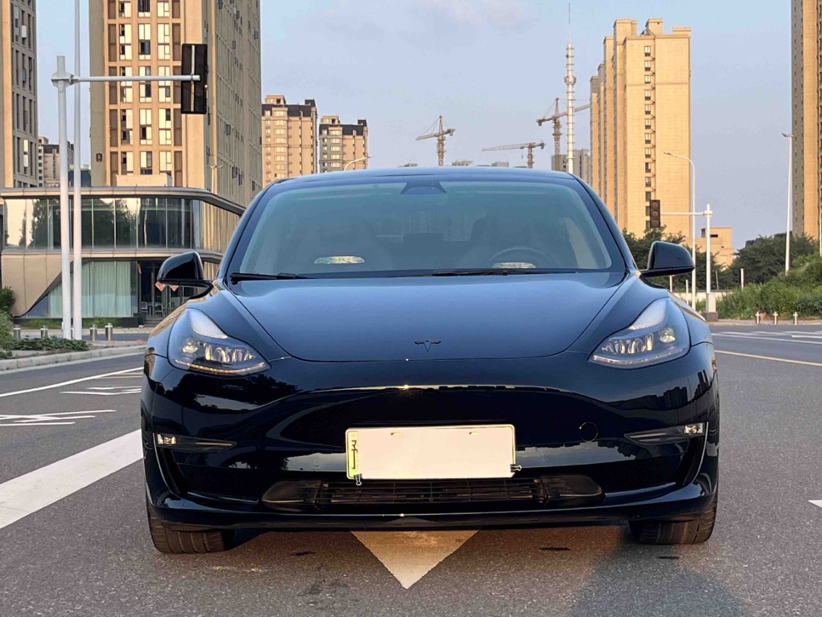 Tesla Model 3 2021 car image #3