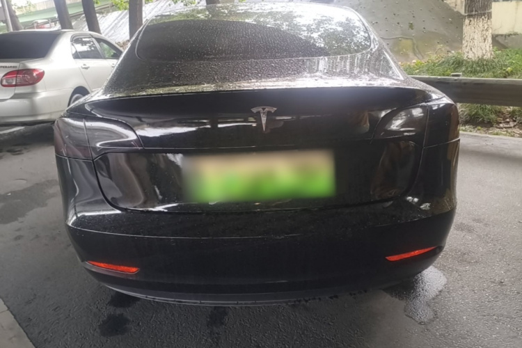 Tesla Model 3 2023 #6 Tesla Model 3 2023 car image #6
