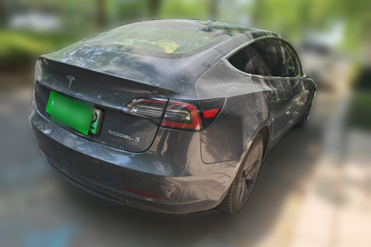 Tesla Model 3 2020 car image #5
