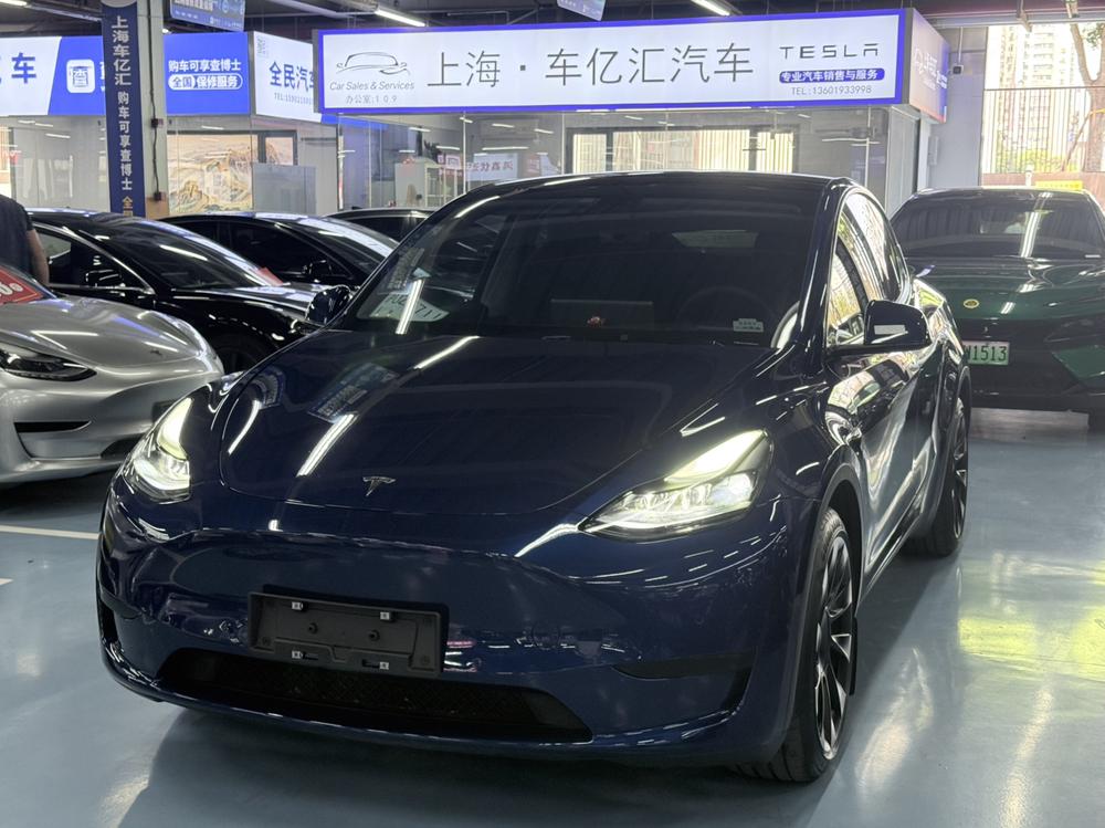 Tesla Model Y 2022 Tesla Model Y 2022 car image