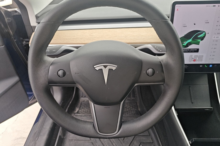 Tesla Model 3 2020 car image #11