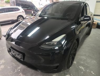 Tesla Model Y 2021 car image 