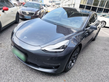 Tesla Model 3 2020 Tesla Model 3 2020 car image
