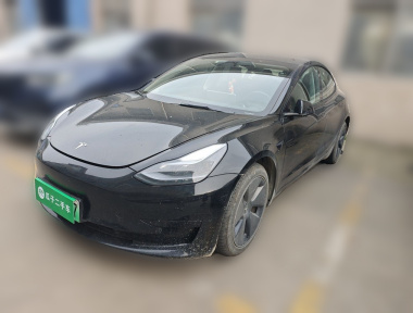 Tesla Model 3 2022 car image 