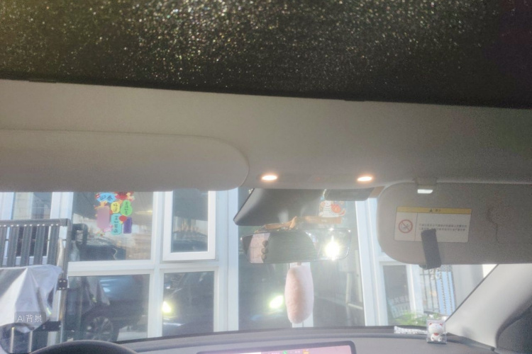 Tesla Model Y 2021 car image #20