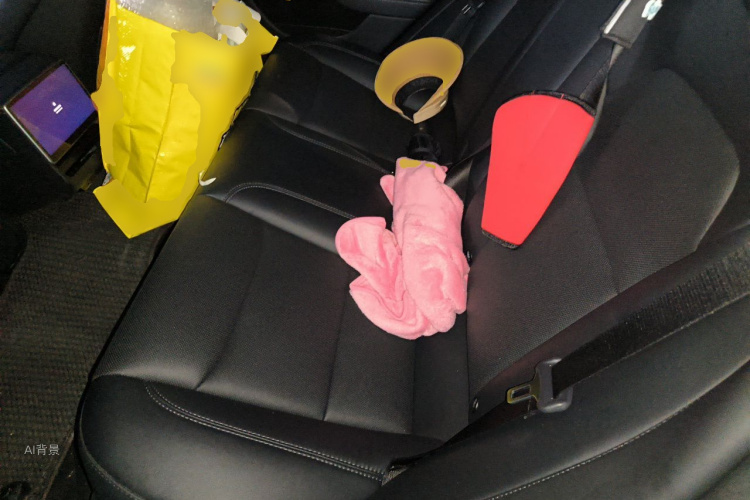 Tesla Model 3 2024 car image #19