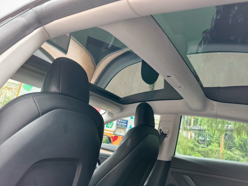 Tesla Model 3 2021 #9 Tesla Model 3 2021 car image #9