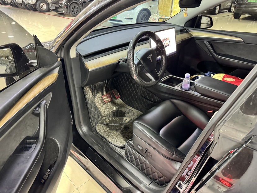 Tesla Model Y 2022 car image #6